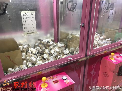 真正能让老百姓致富的项目,最适合个人创业的点子