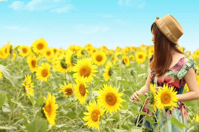 父母吵架离婚做儿女的应该怎么办,爸妈总是吵架作为儿女怎么劝