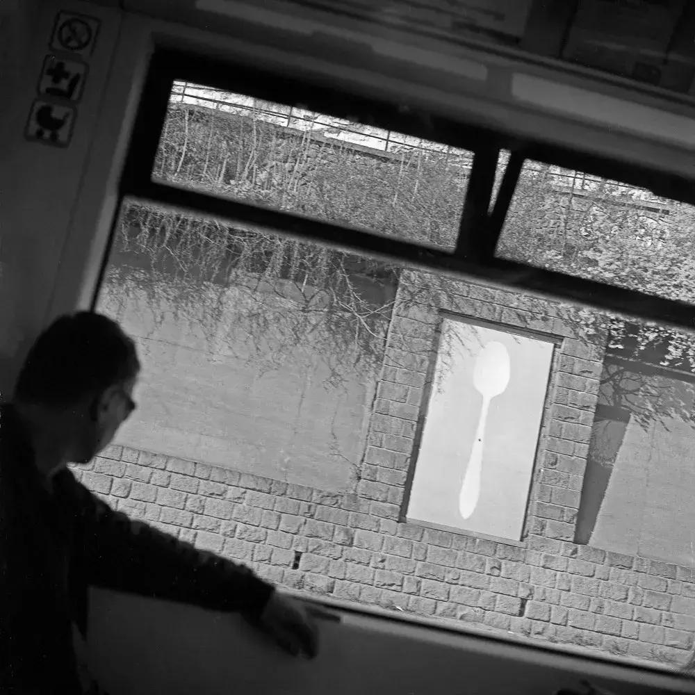 特殊的展览视频,特殊的展览