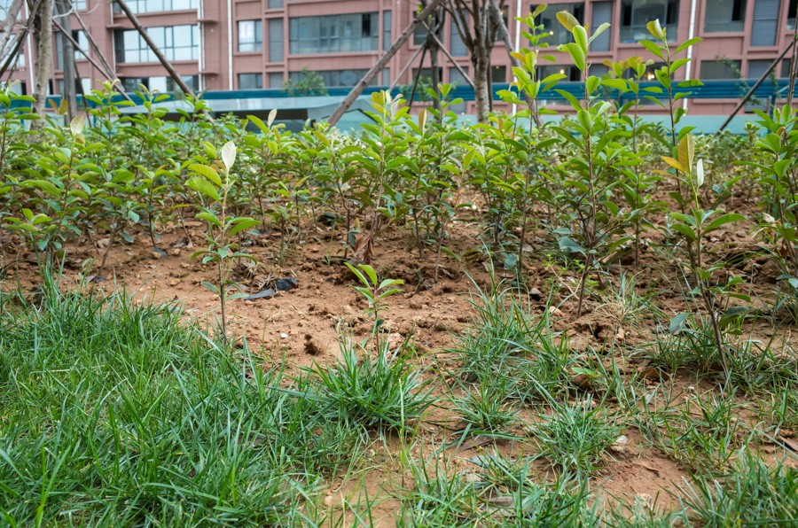 悠山郡最新规划,建业悠山郡片区