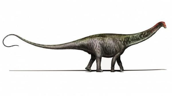 恐龙学名为什么用拉丁语,恐龙的种类名称带拼音