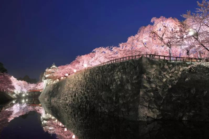 最美樱花季在哪里,南京赏樱大全带你去看最美樱花