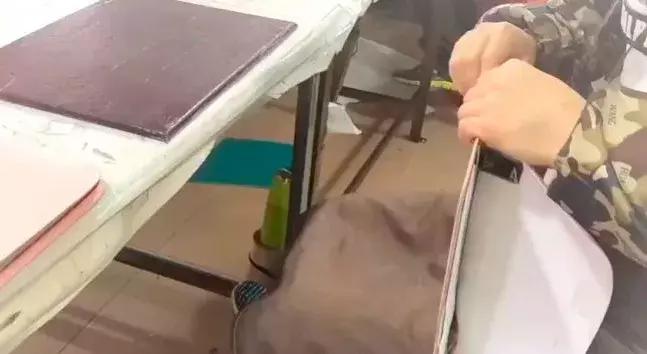 贵的就是好的,贵的就是好的是什么效应