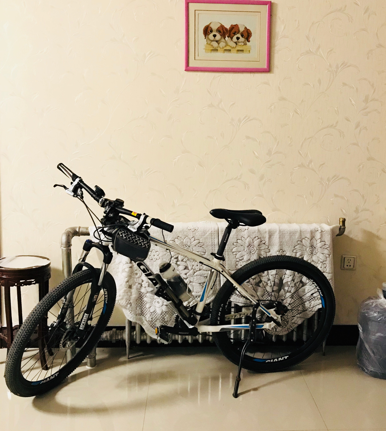 纯小白买什么自行车,小白骑行自行车推荐