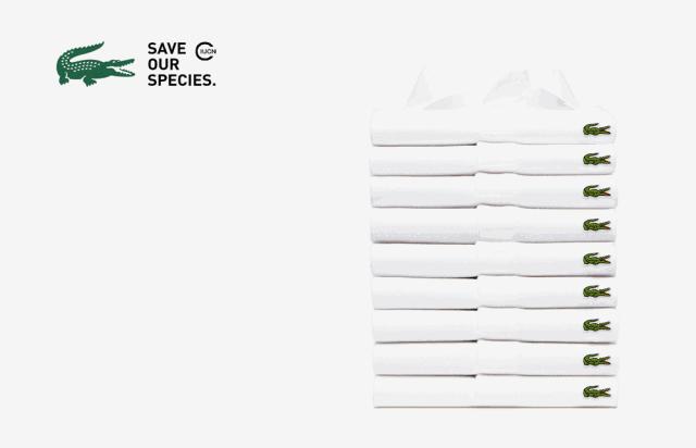 鳄鱼商标是什么品牌,鳄鱼商标是朝哪个方向的