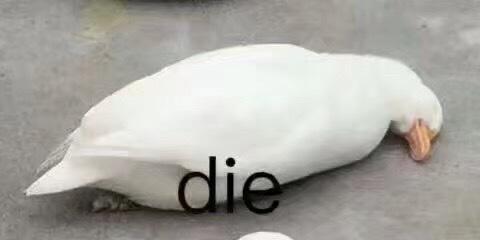 为什么csol2要关服,csol2关服了吗