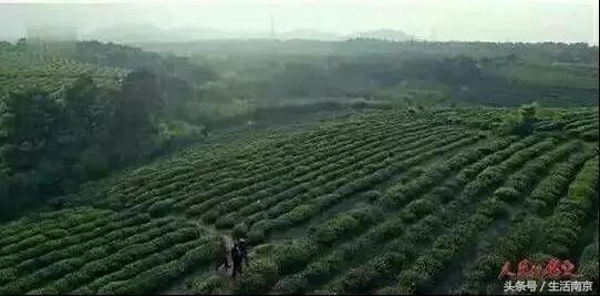 南京高淳区怎么样,南京高淳出的明星