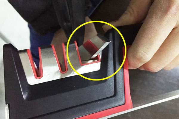 鑱槑濡傚ス灏忚,鑱槑濡傚ス灏忚鍏ㄦ枃闃呰