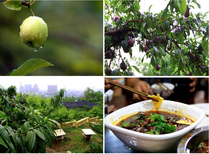 龙泉市好吃美食,丽水市龙泉市特色美食