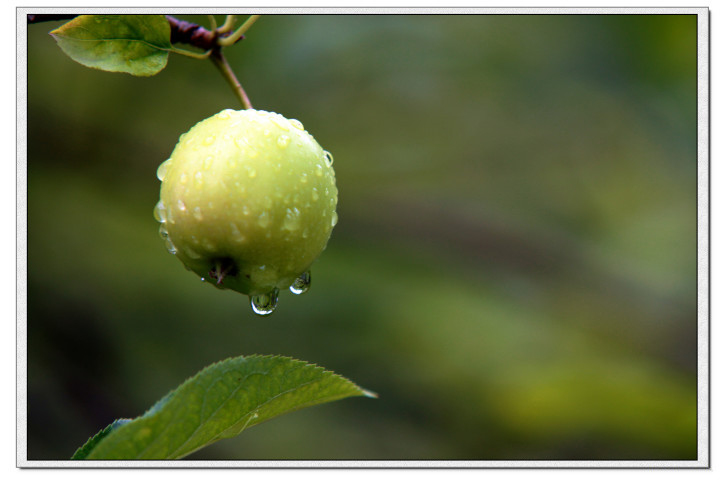 龙泉市好吃美食,丽水市龙泉市特色美食