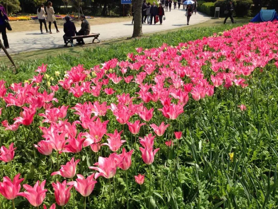 收藏！2018上海地铁最新首末班车时间表、如厕指南、游玩大全！