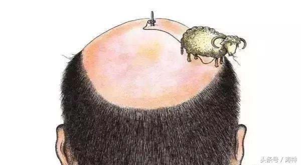 贾平凹的秃顶的十大好处,贾平凹秃顶