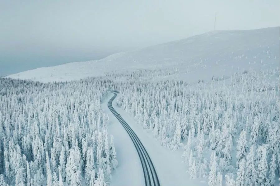 带一本书去欧洲,去芬兰可以带书吗