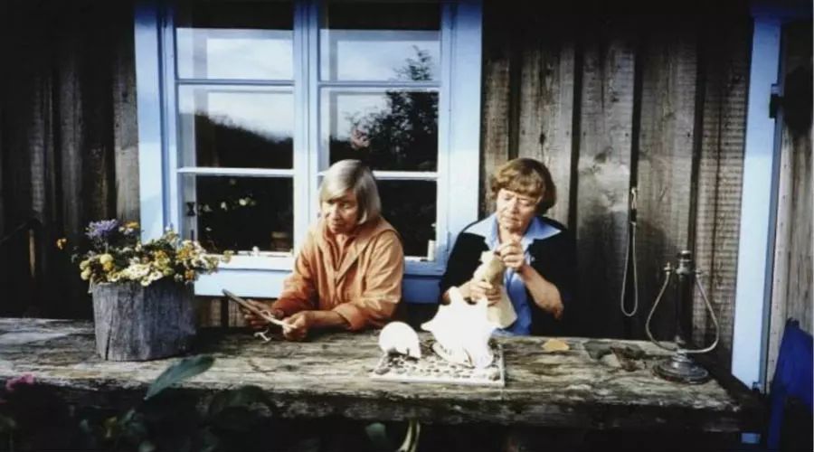 带一本书去欧洲,去芬兰可以带书吗