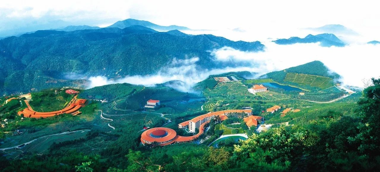 你好邻居敲门,你好邻居童年回忆