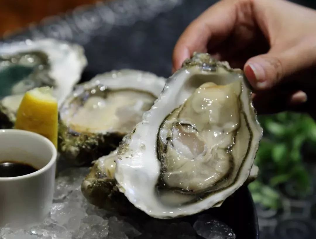 逛吃逛吃·一入蚝门深似海，只缘身在此庭中