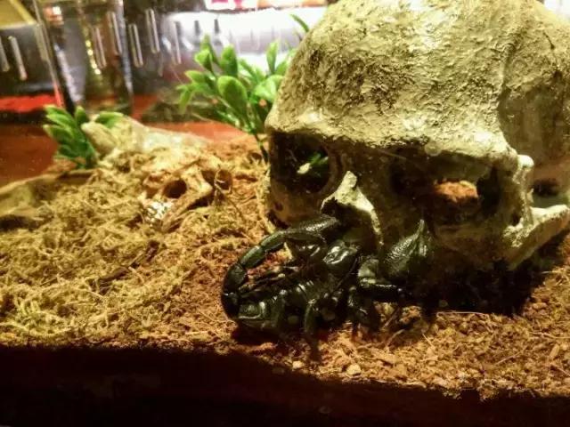 贵阳必须要去的酒吧,贵阳808club酒吧