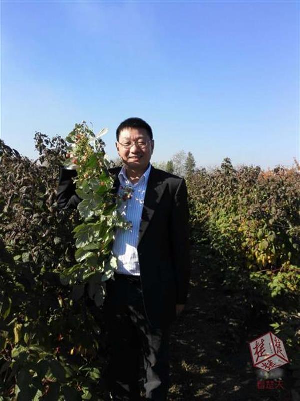 人为什么要财务自由,财务自由还有什么自由