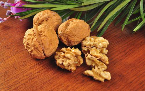 春暖花开种花生,春暖花开种子