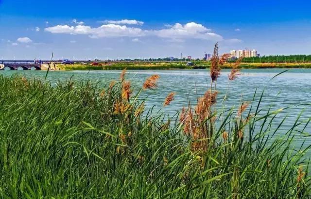 十二星座最适合去的地方苏州,最适合十二星座旅游的城市
