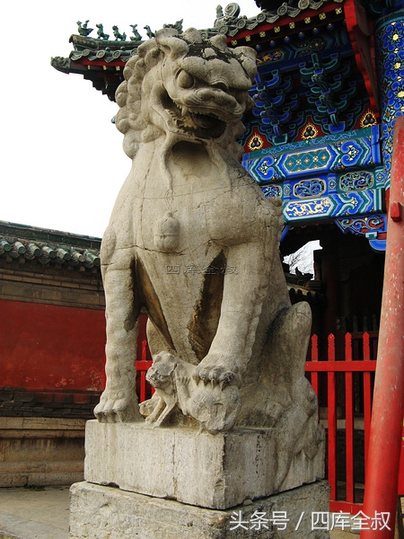 孔林山东曲阜,曲阜孔林古会