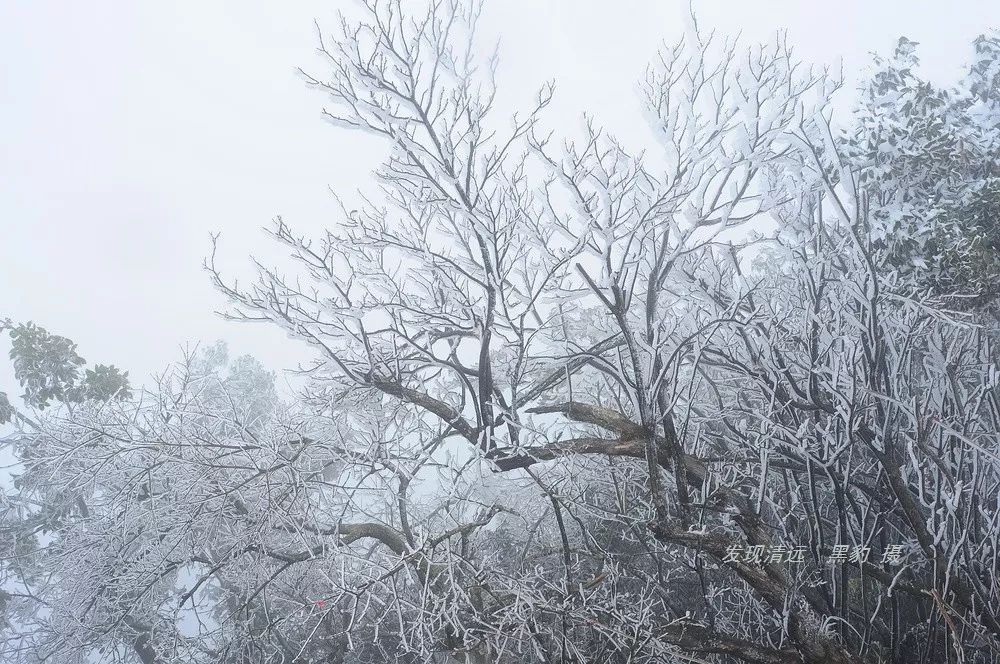 勇闯清远阳山大木村百米地下深渊，告诉你刻骨铭心的18小时！