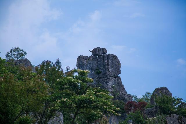 广安华蓥瀑布景区,四川华蓥山石林