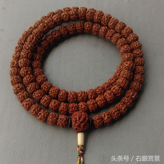 自己在家怎么挑选小金刚,小金刚选籽教程