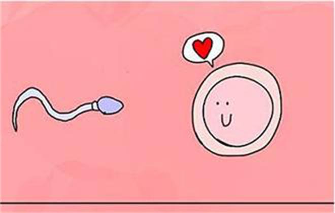 精子跑得慢是什么毛病,精子奋斗史