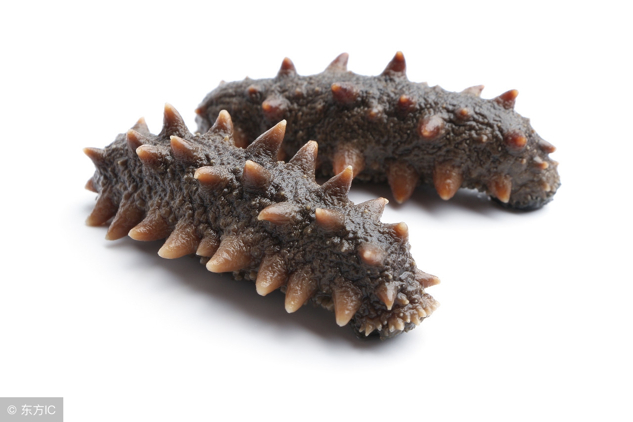 买海参注意事项,买海参注意事项有哪些