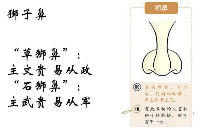 面相中鼻子大的面相解读,富贵鼻子的吉利面相解析大全