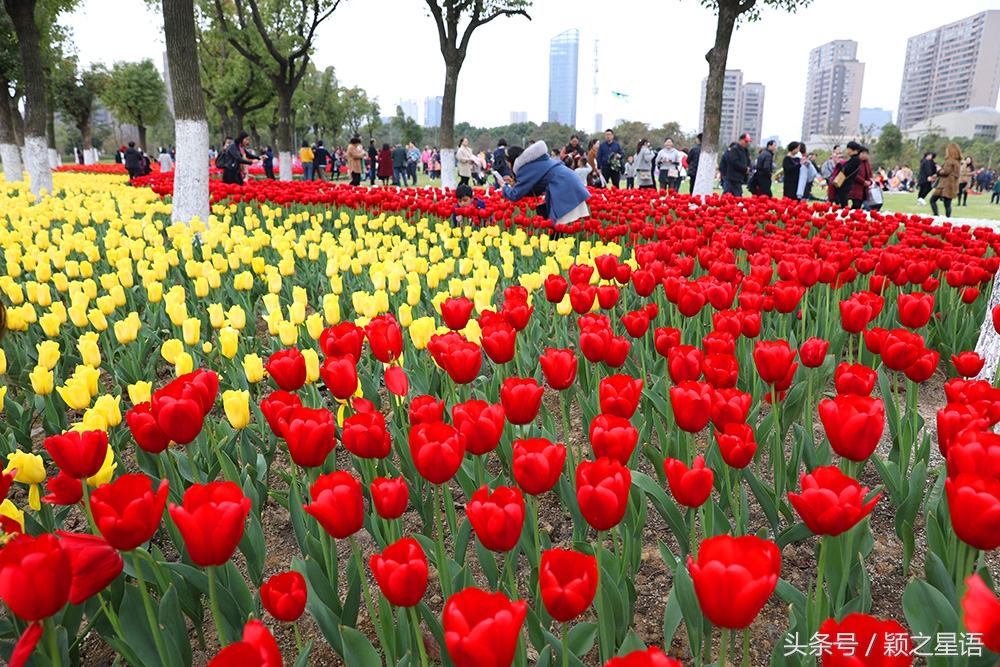 宁波院士公园最新消息,宁波院士公园现在花还开着吗
