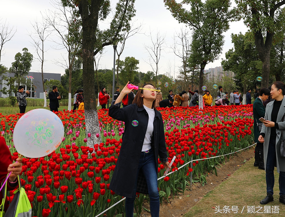 宁波院士公园最新消息,宁波院士公园现在花还开着吗