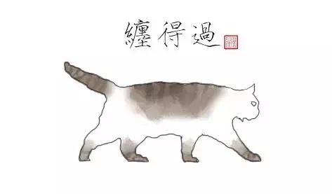 猫谱:因相成名,因名成谱《蓝毛毛找猫》24:猫出有名