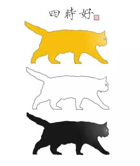 猫谱:因相成名,因名成谱《蓝毛毛找猫》24:猫出有名
