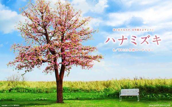 盘点不能错过的番剧,日剧2020天花板少女心