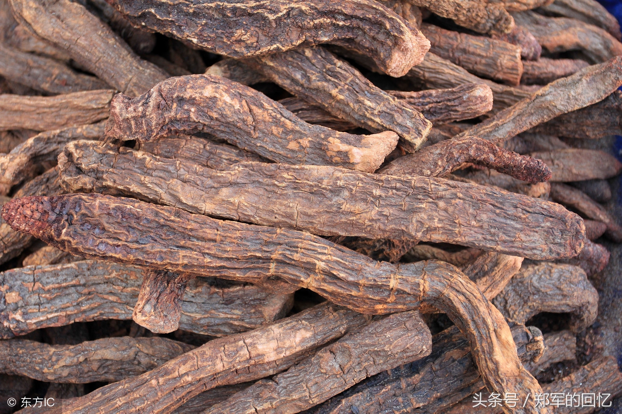 一杯锁阳药酒*福性**归来