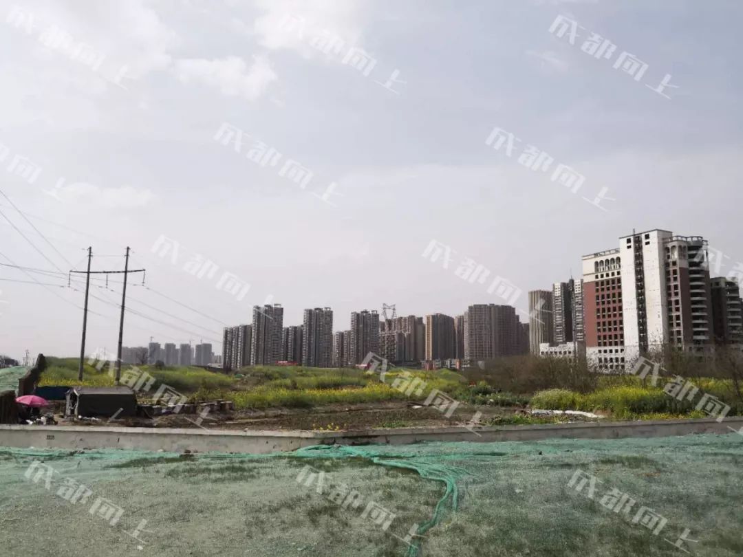 大源核心商务区,大源cbd核心区夜景