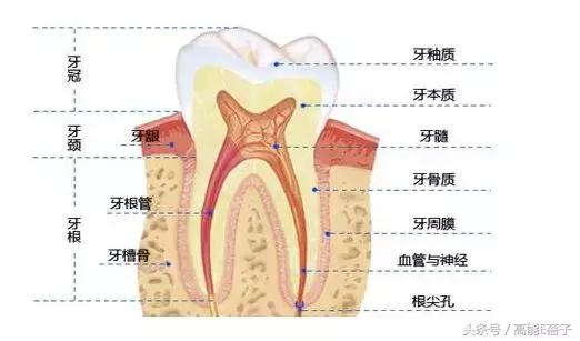 高圆圆牙齿美白,高圆圆40岁美白秘诀