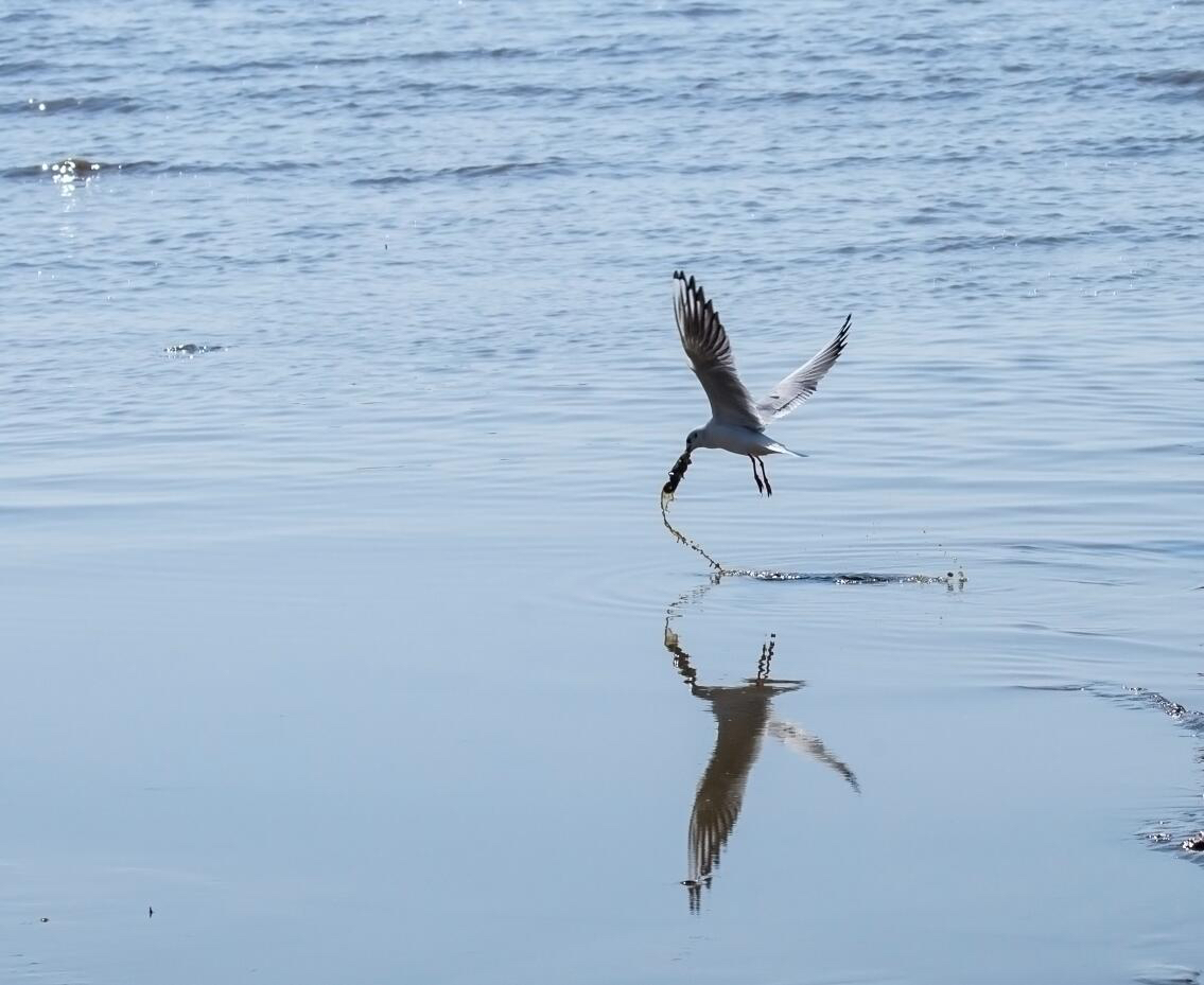 投资汽车美容行业前景如何,投资一家汽车美容店需要多少钱