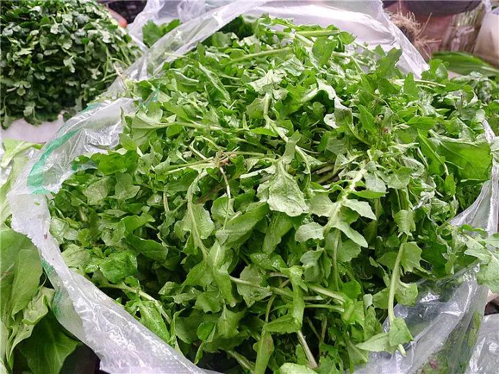 开春的野菜有哪些,开春挖的野菜