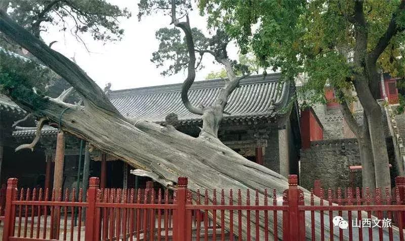 山旅太原，第一站，晋源区——晋祠