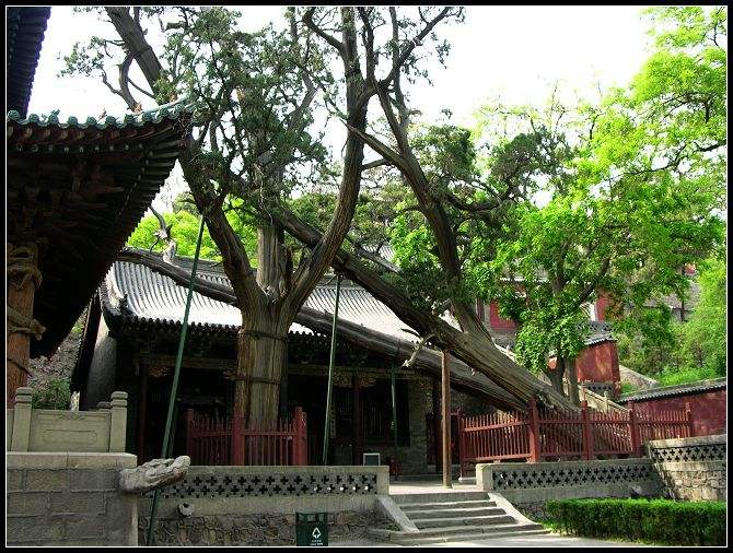 山旅太原，第一站，晋源区——晋祠