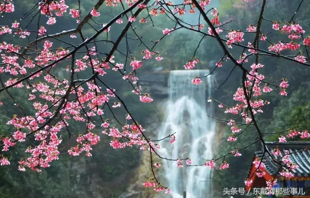 清明小长假旅游推荐,清明假期适合1-2天短途旅游