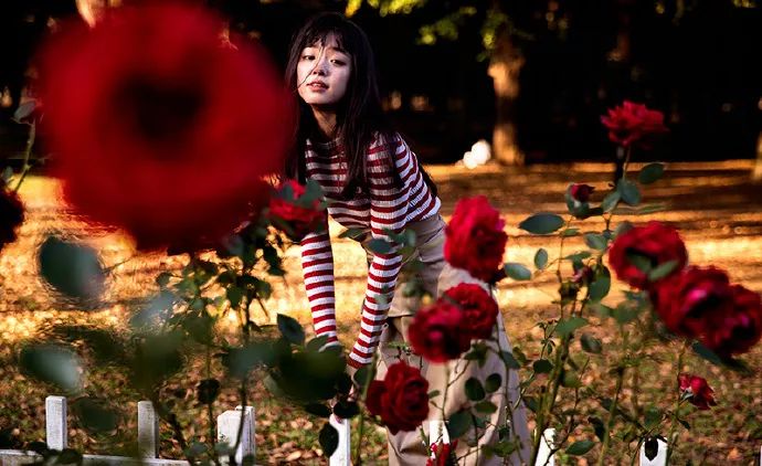 日本平价女装品牌,正品日本女装品牌