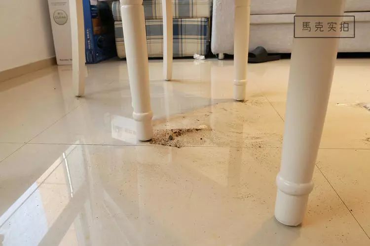 科沃斯和戴森机器人哪个好,irobotbraava擦地机器人