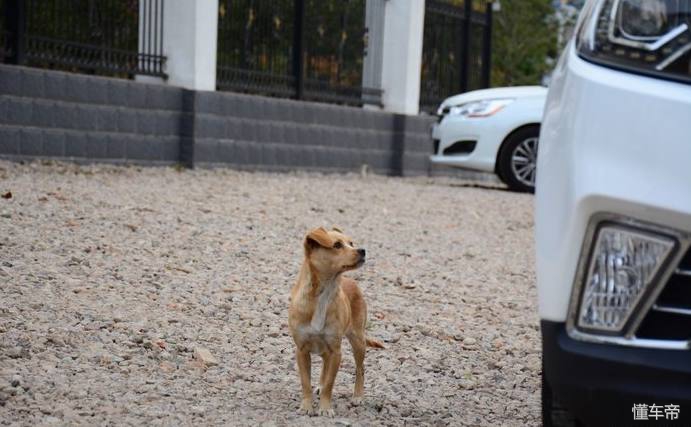远景suv的优缺点,提车一年了
