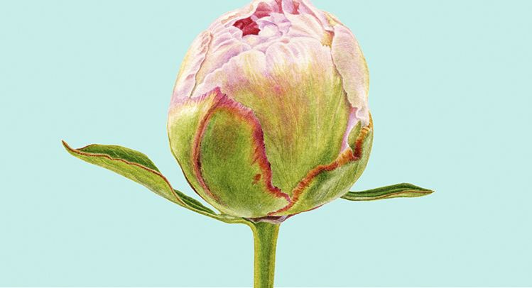 tomford最新彩妆 (tomford ysl彩妆)