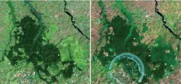 地球生态环境现状简介50字,地球生态的现状