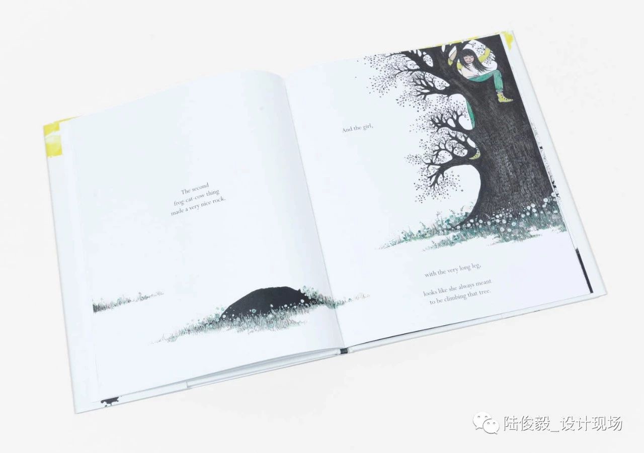 国际获奖26本绘本,2019年最佳绘本